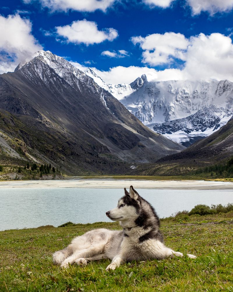 Photograph by Екатерина Иванова