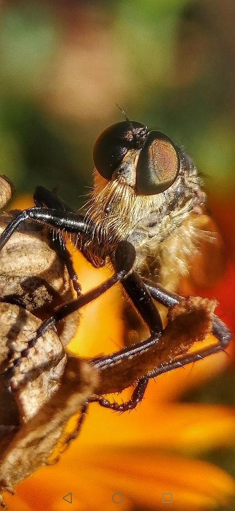 Фотография автора НАТАЛЬЯ СЕВЕР