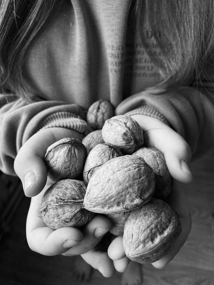 Дары природы