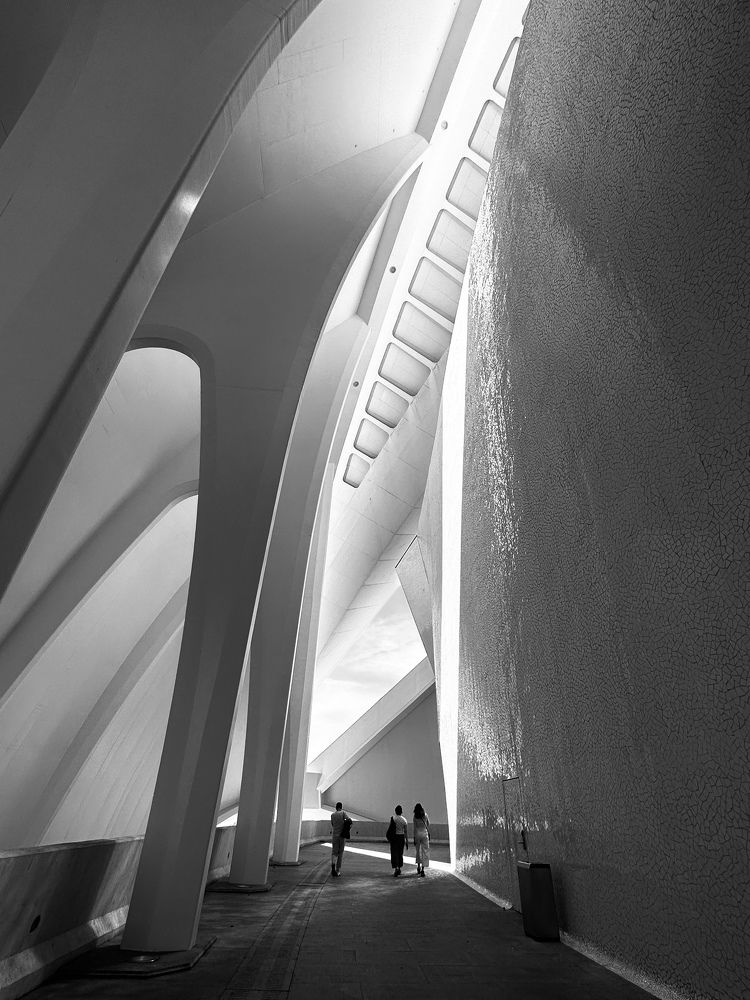 Photograph by Natasha Bogomolova