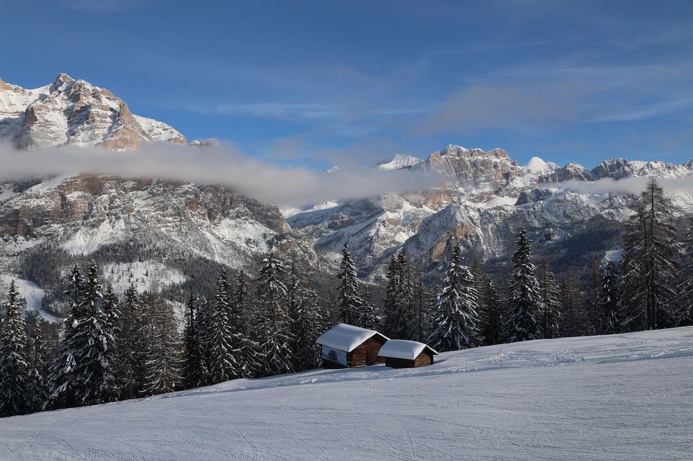 Photograph by Popa Alin