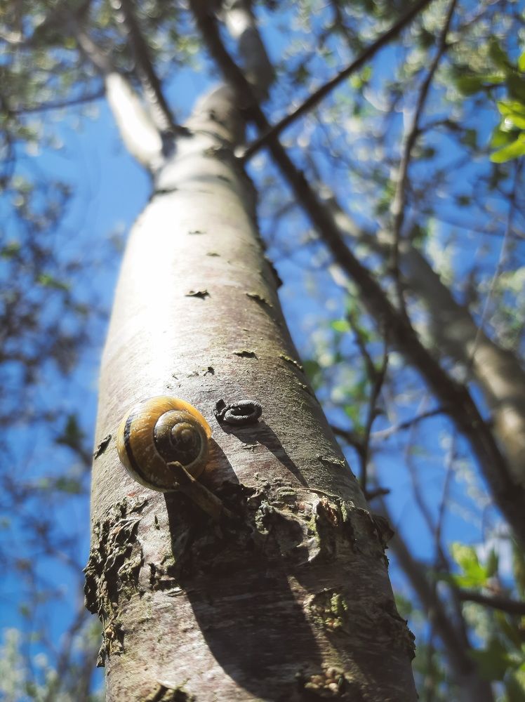 Photograph by Александр Сакович