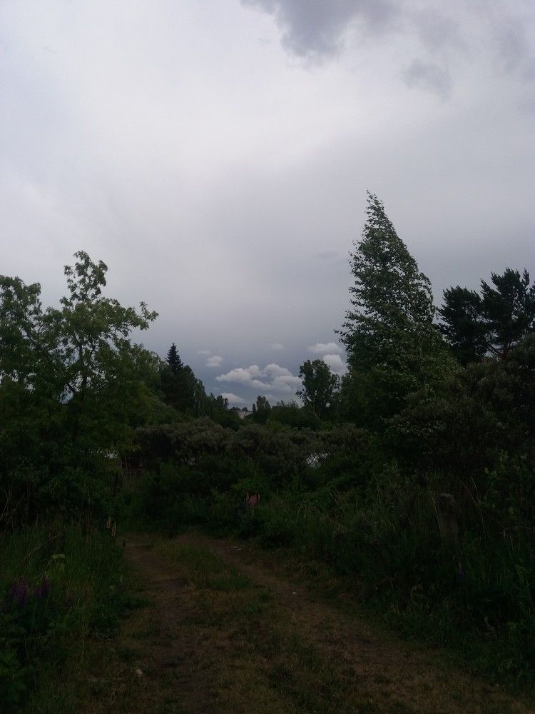 Photograph by Татьяна Чечулина