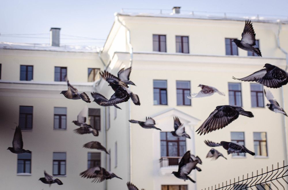 Скоро весна