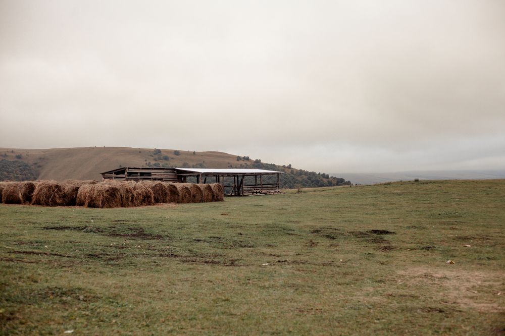 Photograph by Нина Зайцева