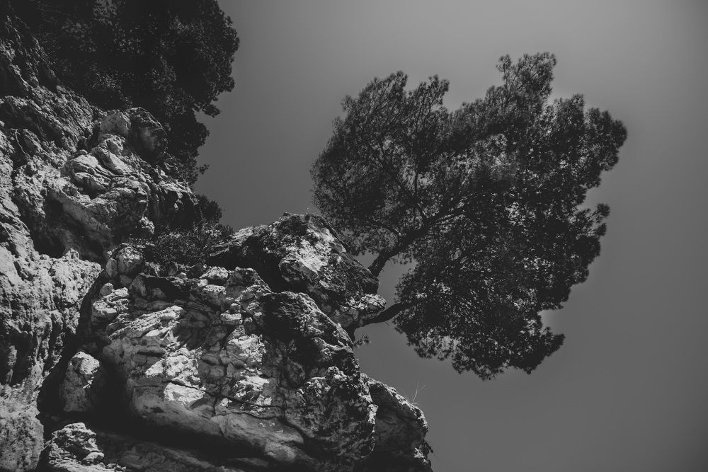 Photograph by Giacomo Giannelli