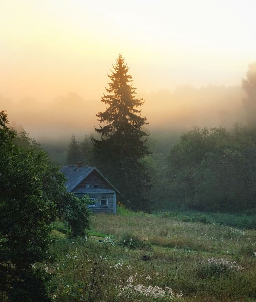 Photograph by Титова Дарья