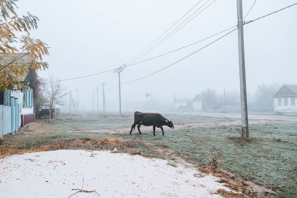 Фотография автора Карина Шарова