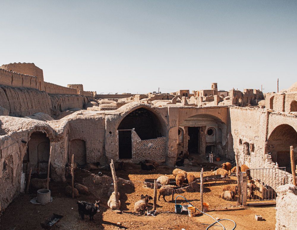 Photograph by Masoumeh Mahmoudi