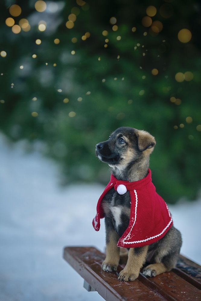 Photograph by Екатерина Васильева