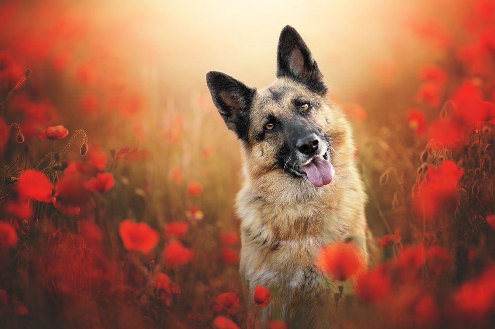 Photograph by Rut Casanellas