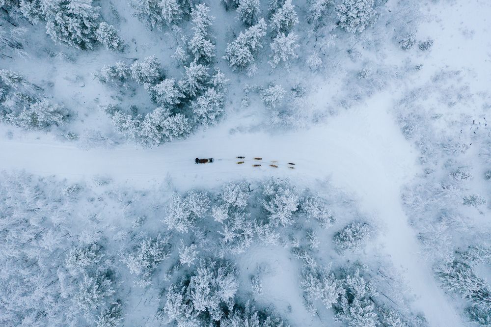 Photograph by Андрей Белавин