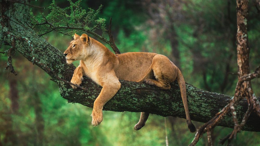 Photograph by Khazov Artem