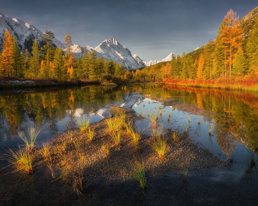 Фотография автора Dmitry Medyancev