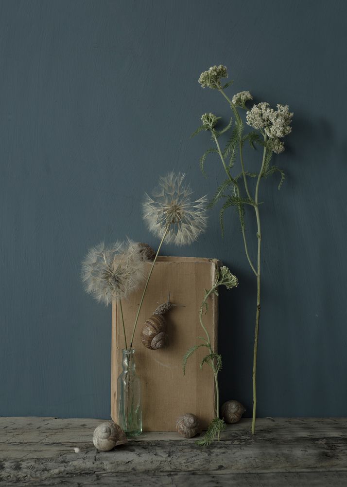 Фотография автора Julia Vikhrova