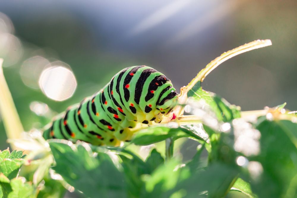 Photograph by Наталья Островцева