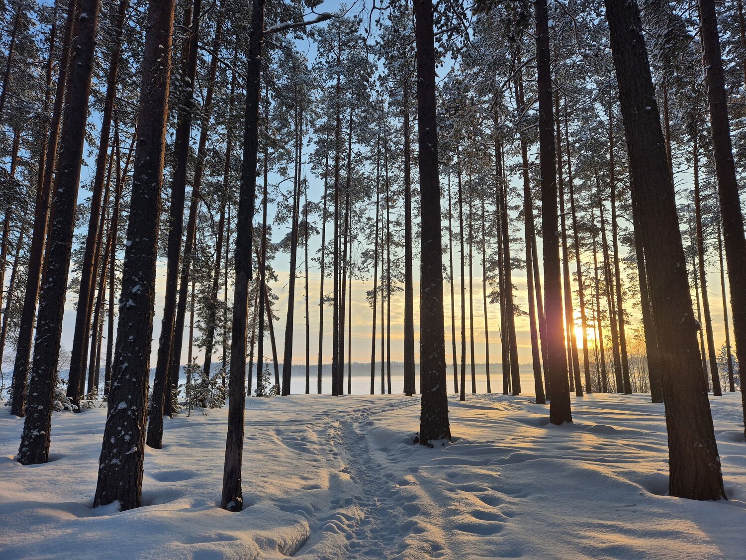 Photo #10295452