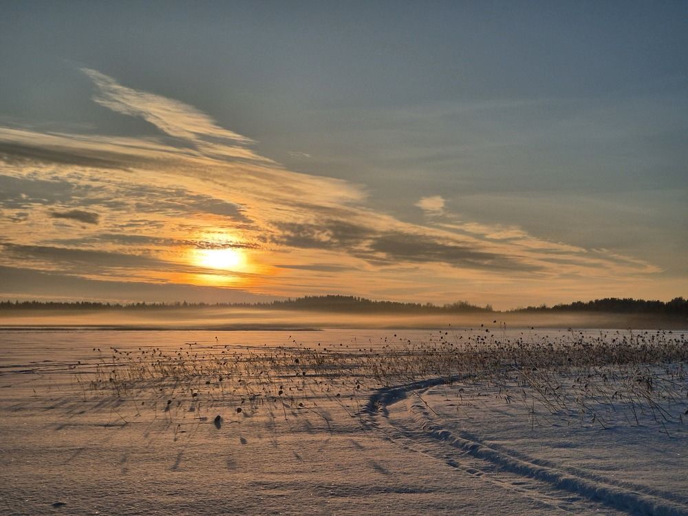Photograph by Тимур Целищев