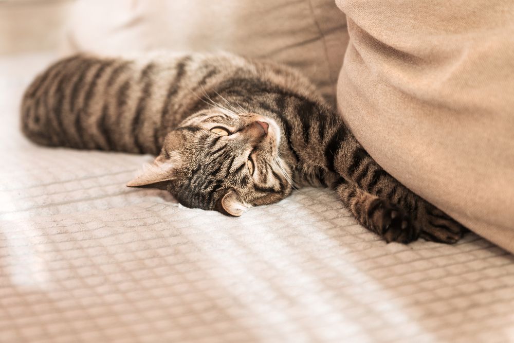 Photograph by Денис Илюхин