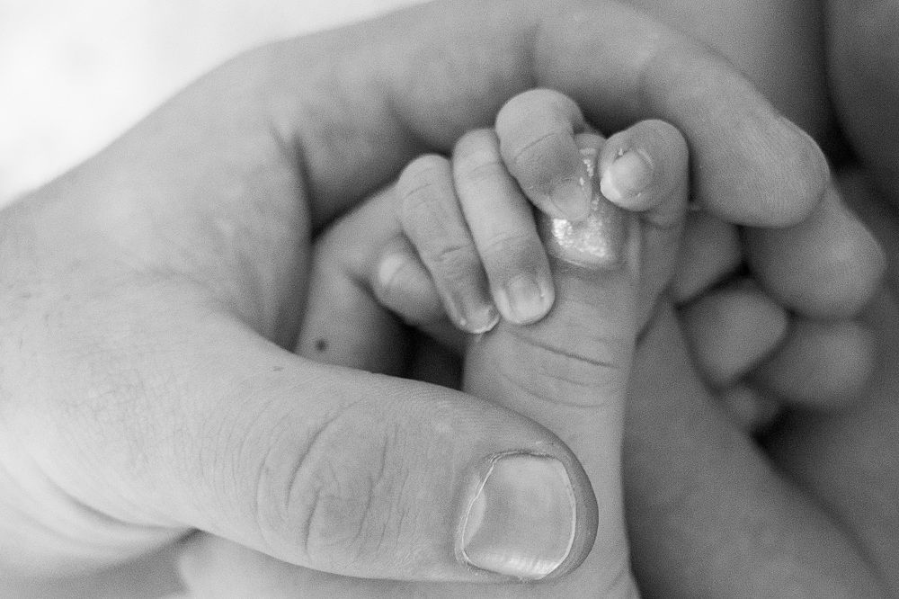 Фотография автора Denis Kotrenko