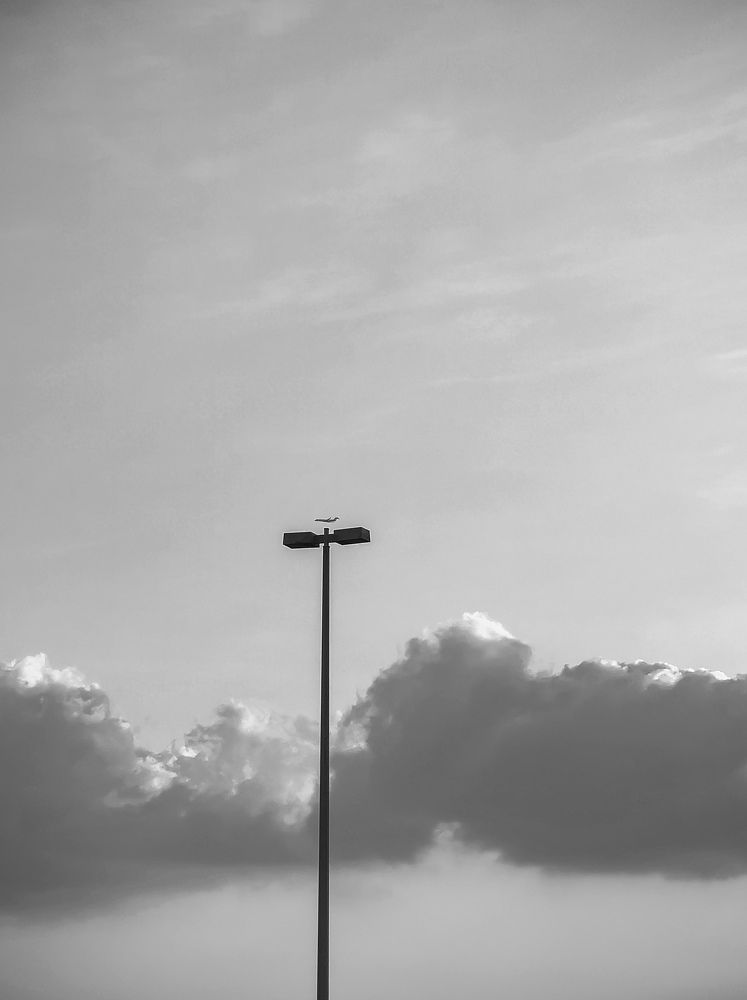 Photograph by Errol Da Gama