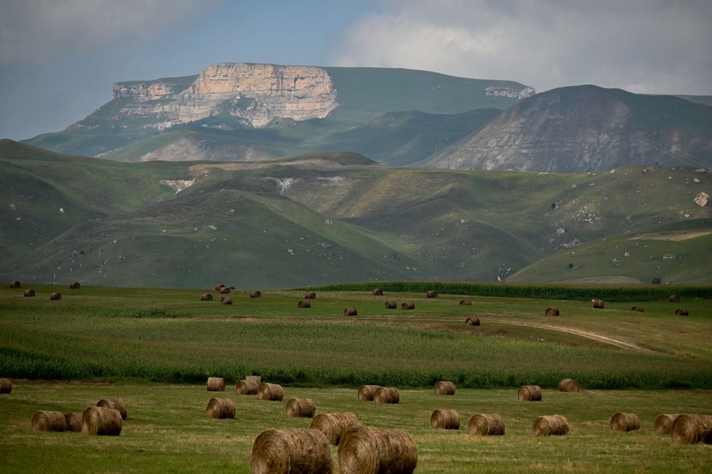 Photograph by Анастасия Долгова