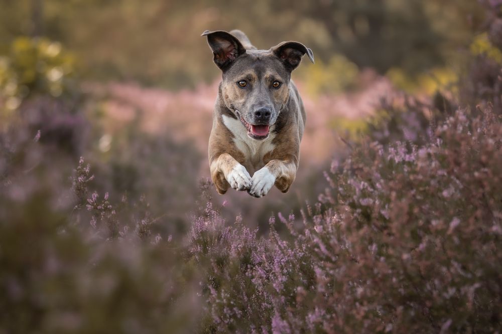 Photograph by Pascalle Wijnands