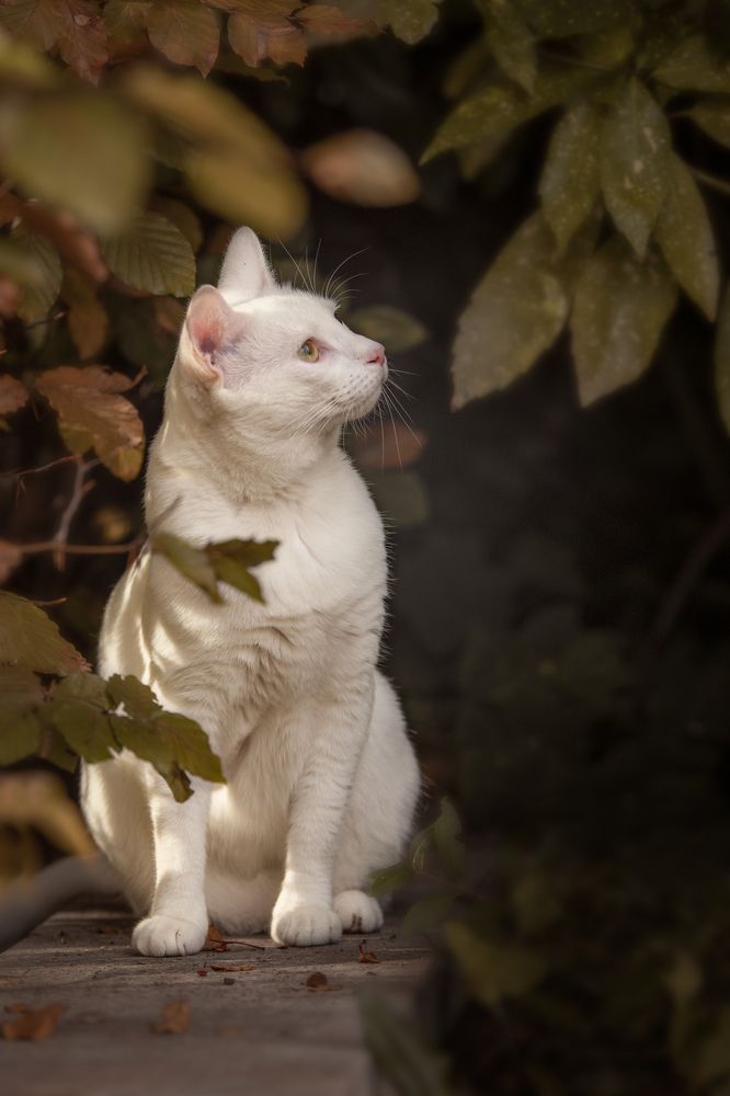 Photograph by Pascalle Wijnands