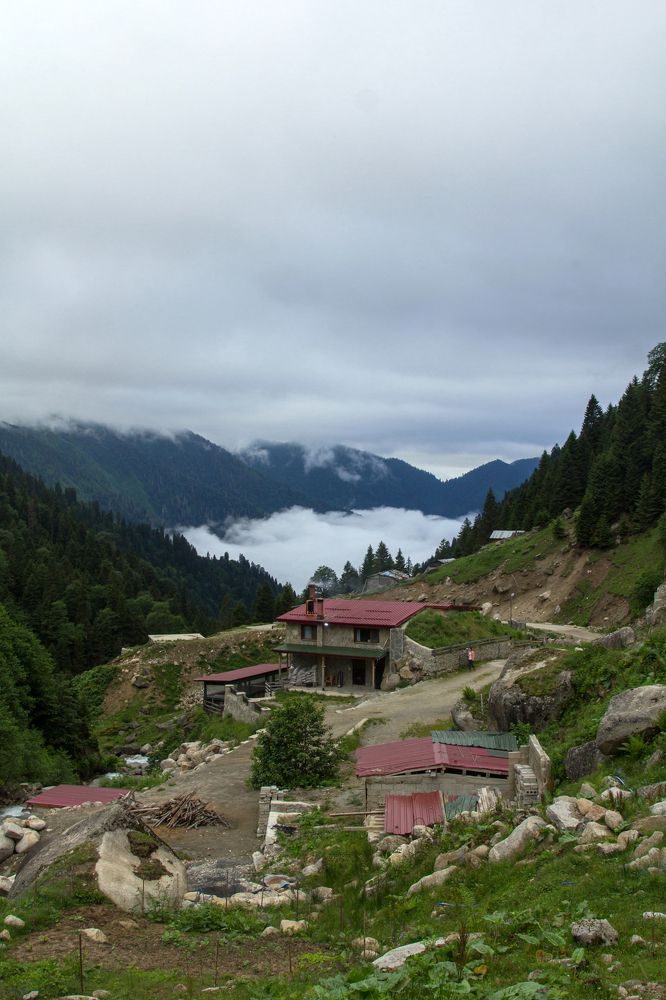 Photograph by Olga Min