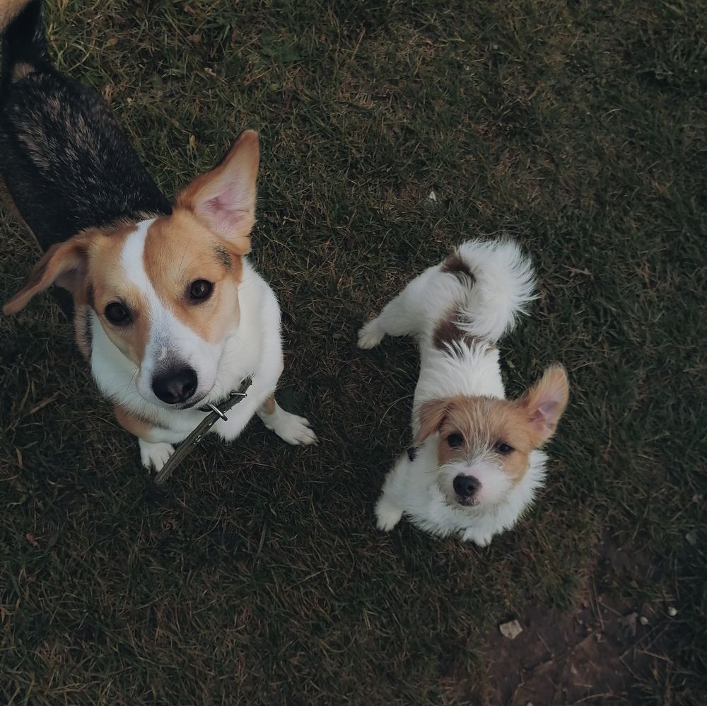 Photograph by Наталья Муравейко