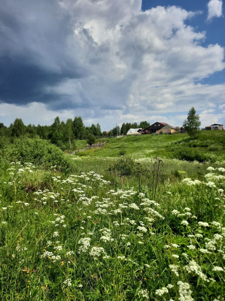 Photograph by Татьяна Скородумова