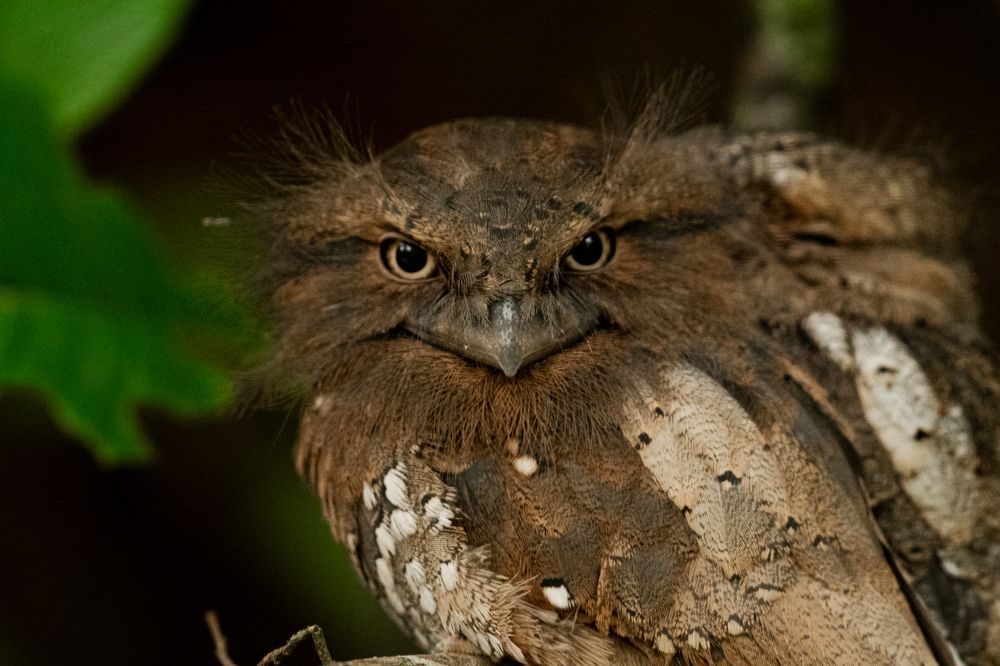 Photograph by Sampath Perera