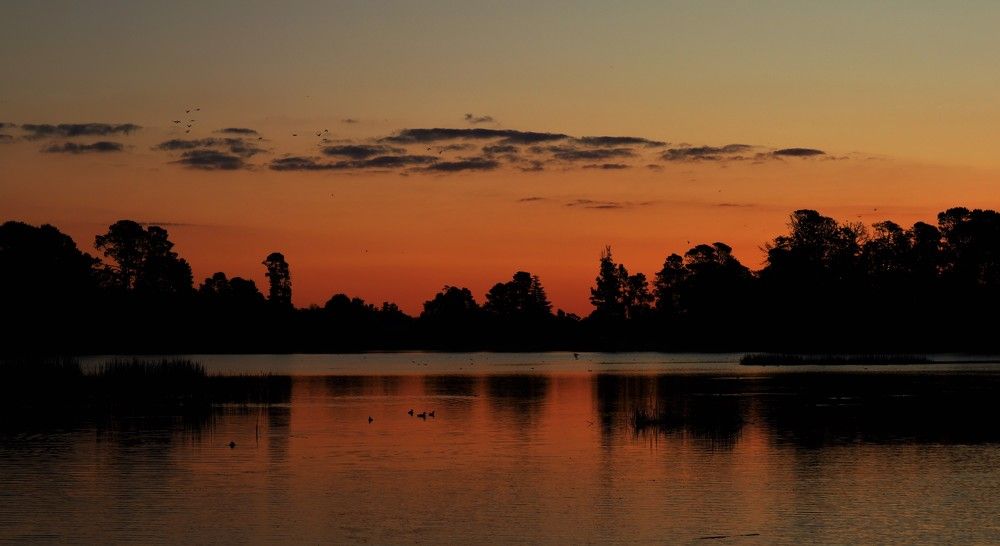 Photograph by Kirsteen Isles