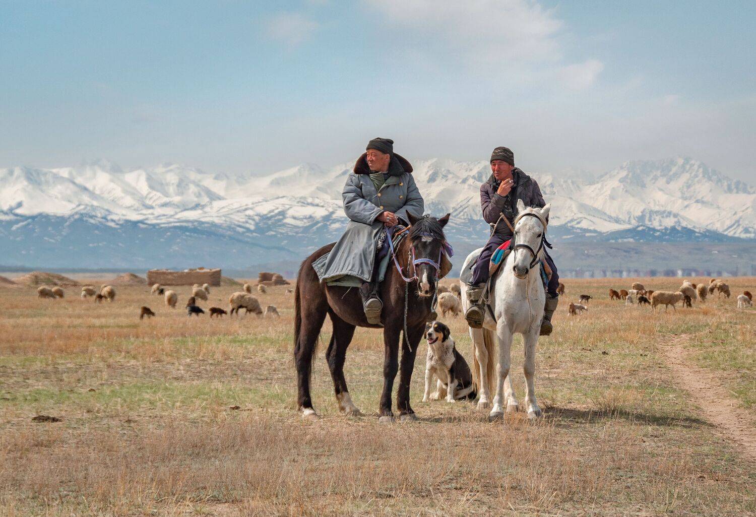 Фотография #10295707