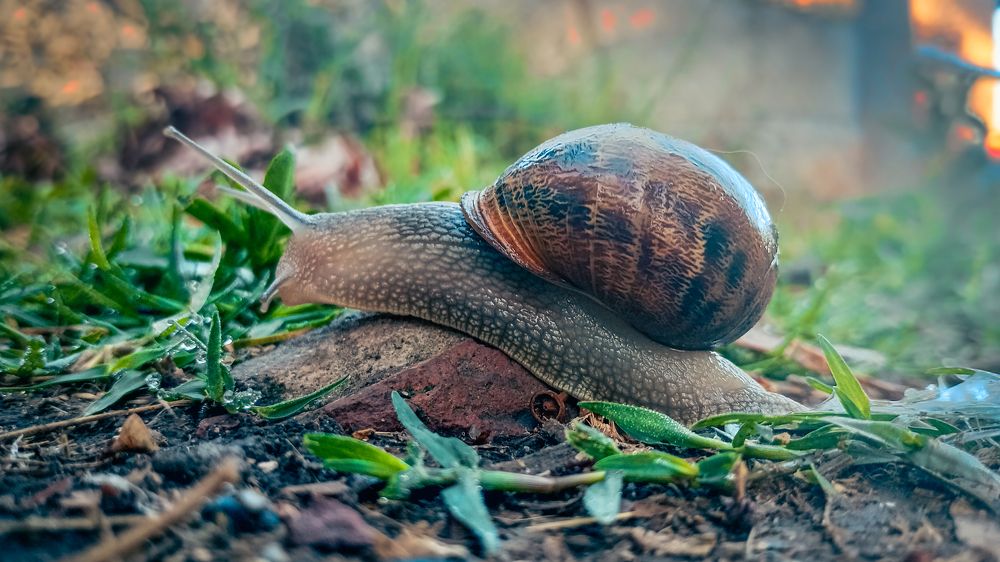 Photograph by Jhara Saenger