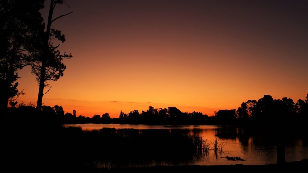 Photograph by Kirsteen Isles