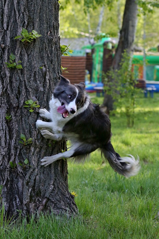 Photograph by Аркадий Ишимов