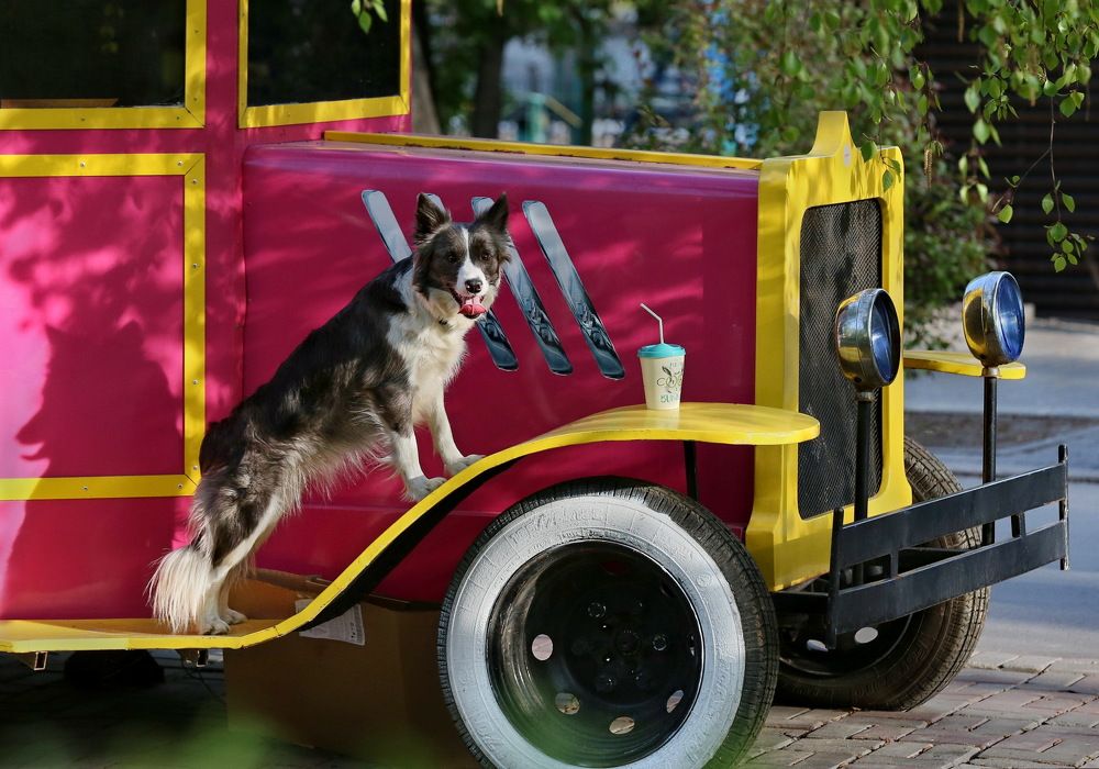 Photograph by Аркадий Ишимов