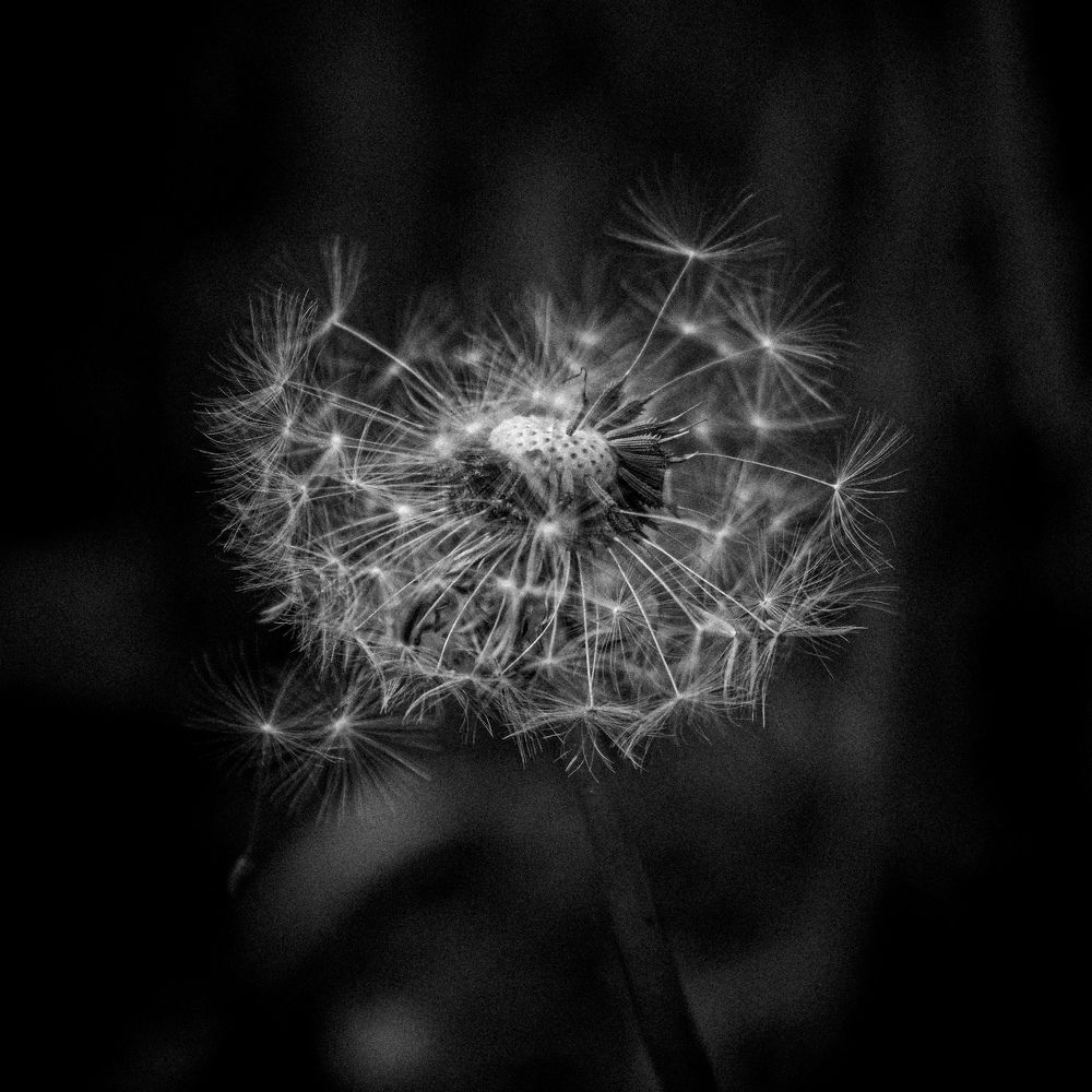 Photograph by Efthymios