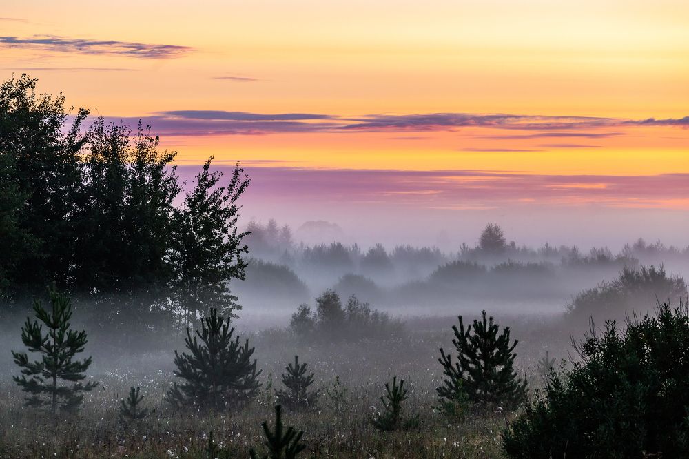 Фотография автора Панагушин Сергей