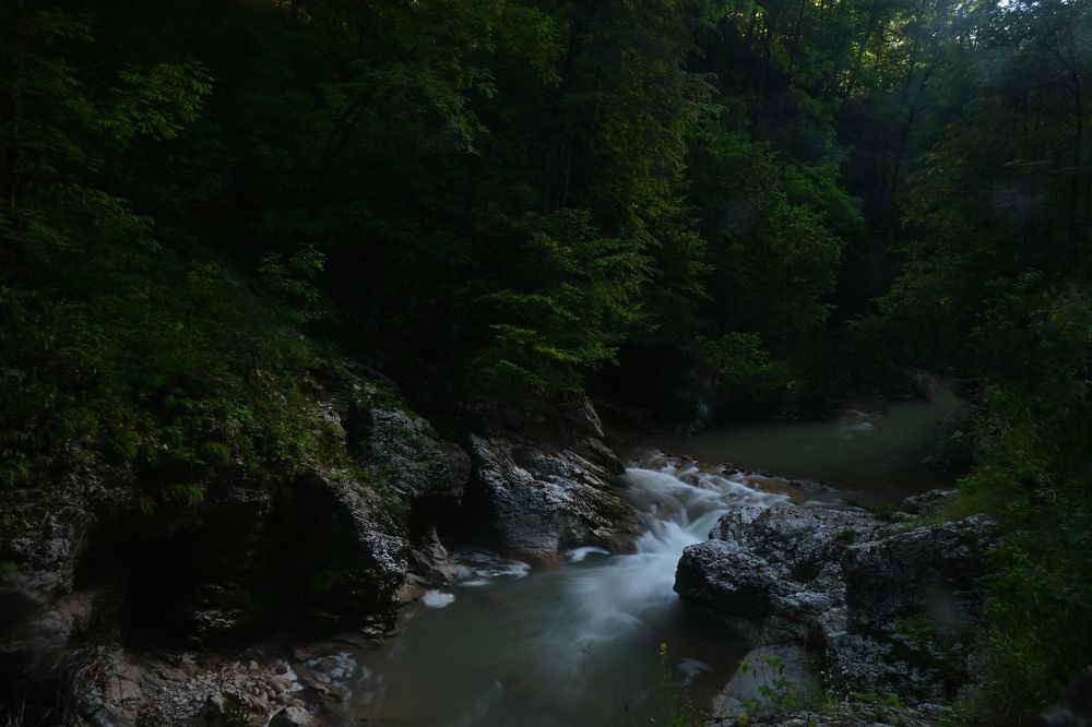 Photograph by Анастасия Долгова