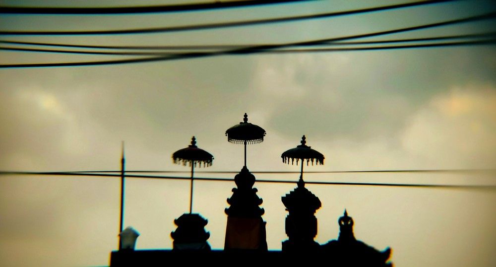 Photo #10295857