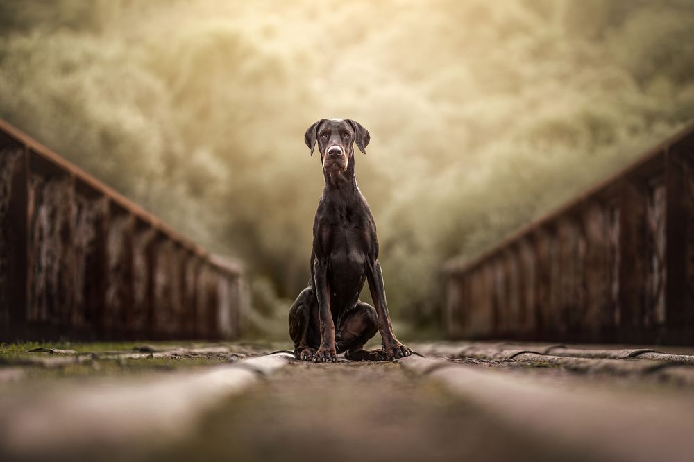 Photograph by Leticia Hernandez