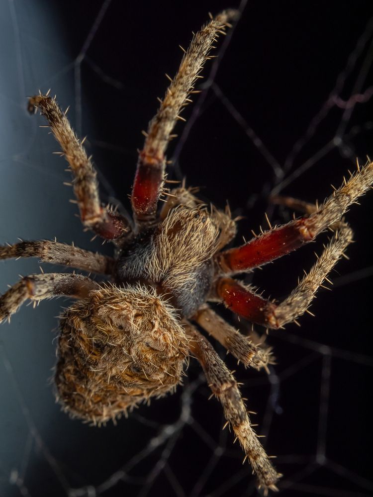 Photograph by Talha Maqsood