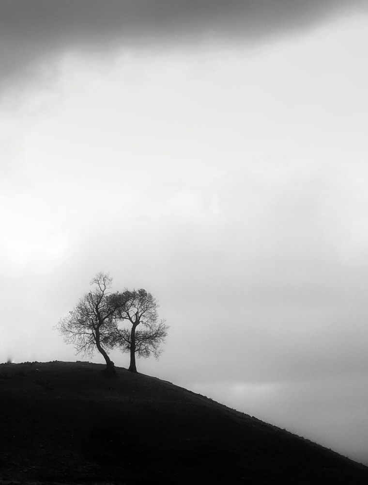 Photograph by Ahmad LOUKILI