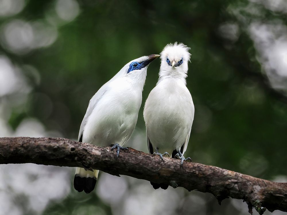 Photograph by Lugyanti Sukrisman