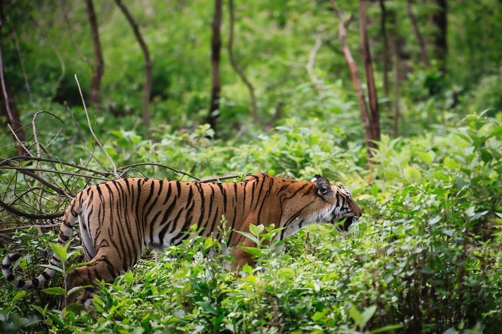 what are you doing here?