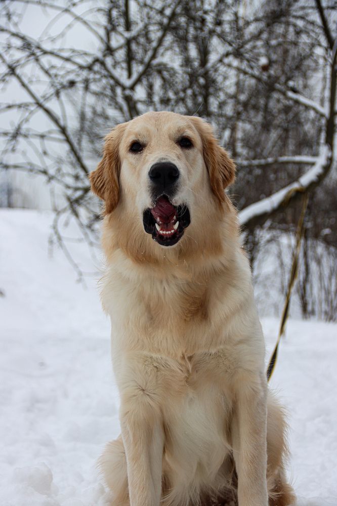 Photograph by Аня Косс