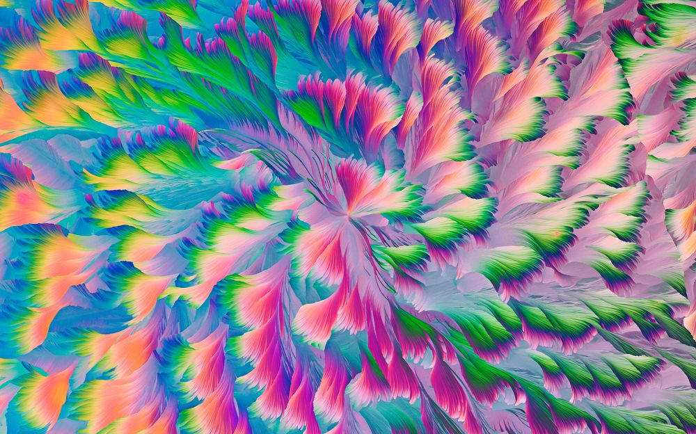 Photograph by Yuan Ji