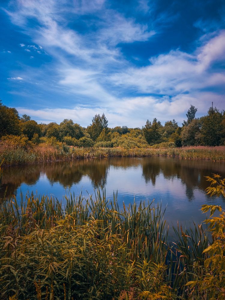Photograph by Юлия Реутова